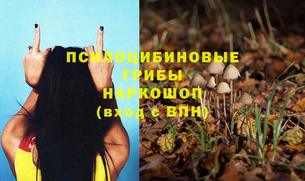 мяу мяу мука Волосово