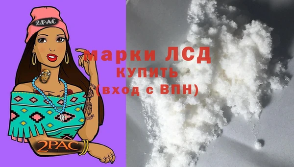 стафф Волоколамск