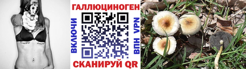 Купить закладки  Баксан  Галлюциногенные грибы Magic Shrooms 